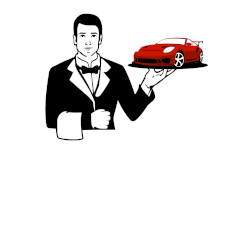 AZUR SOLUTIONS AUTO